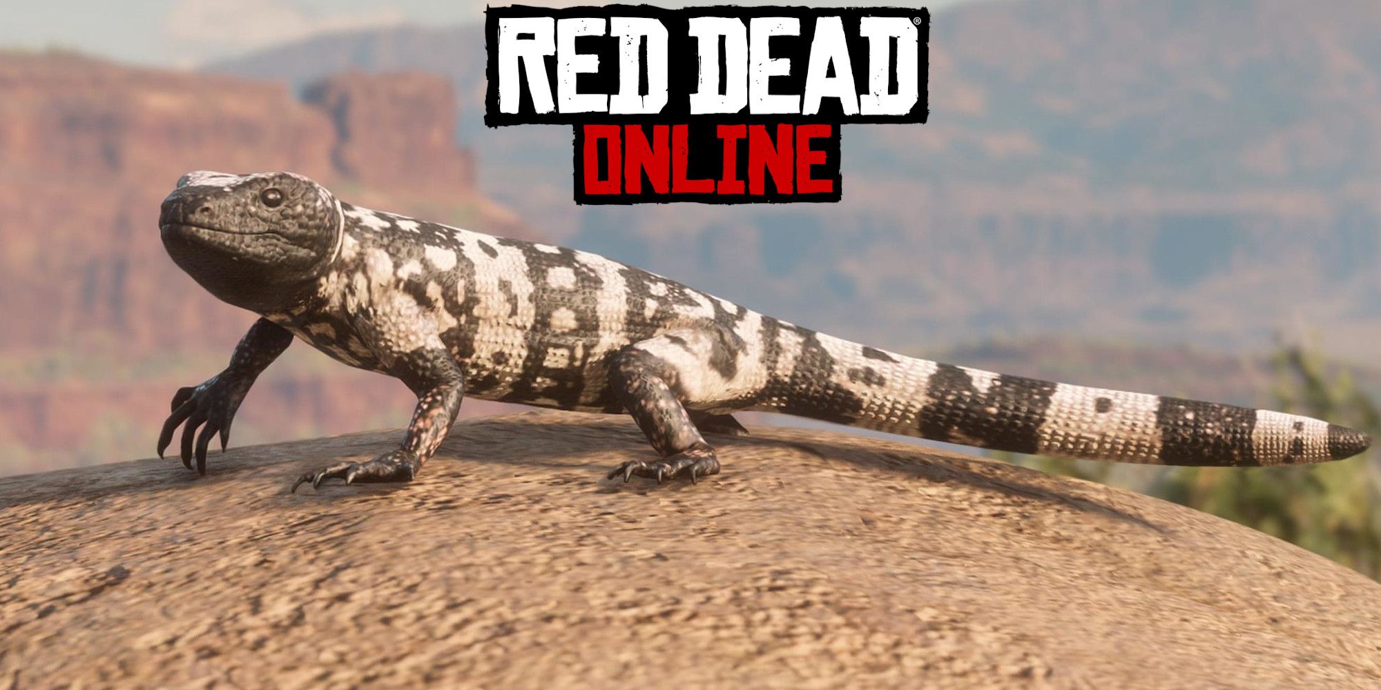 Banded-Gila-Monster-locations-guide-hunting-tips-Red-Dead-Redemption-2-Online-RDO-rdr2-besthdwallpapers