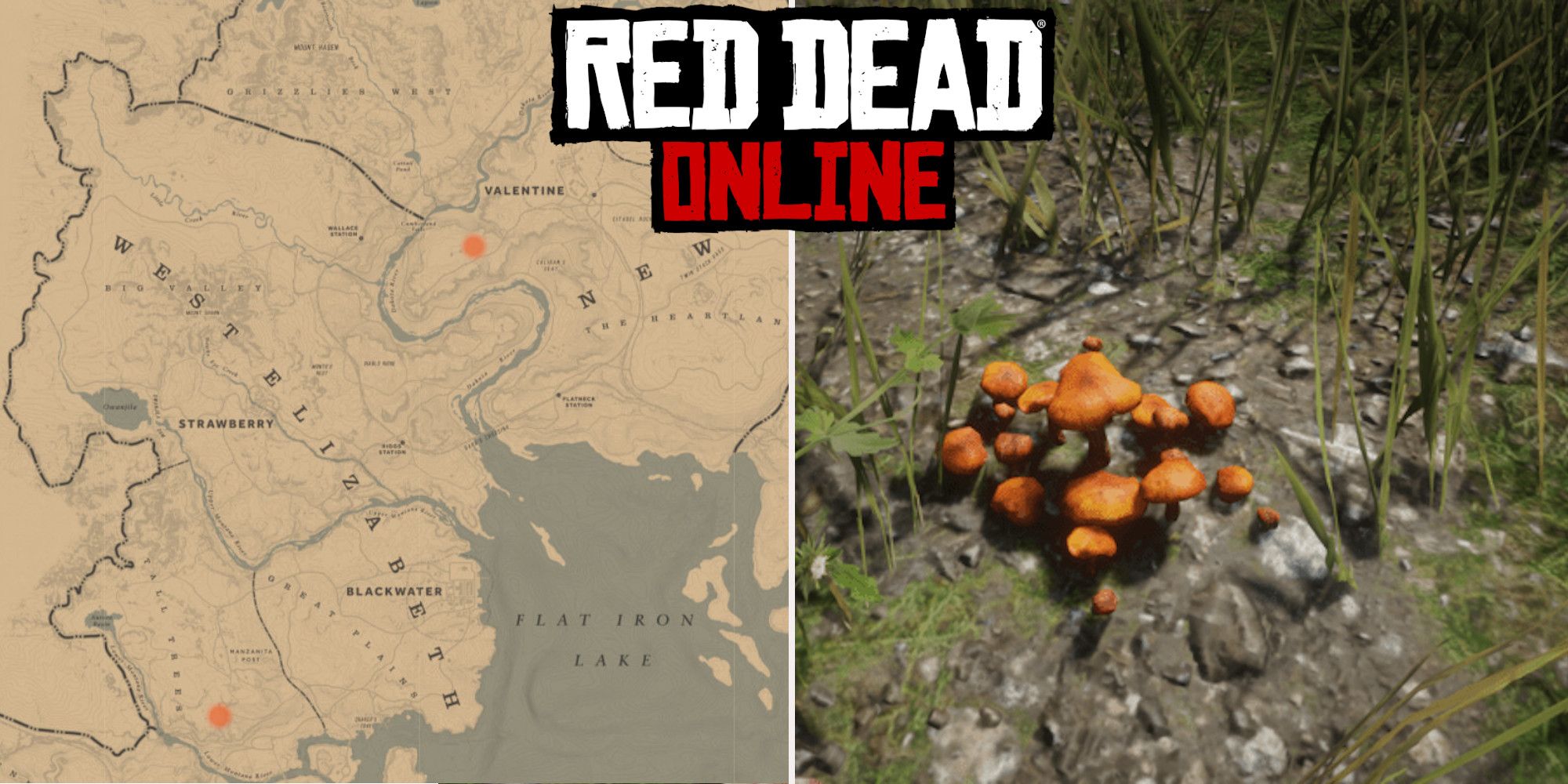 Red Dead Redemption 2 Map - Red Dead Online - IGN