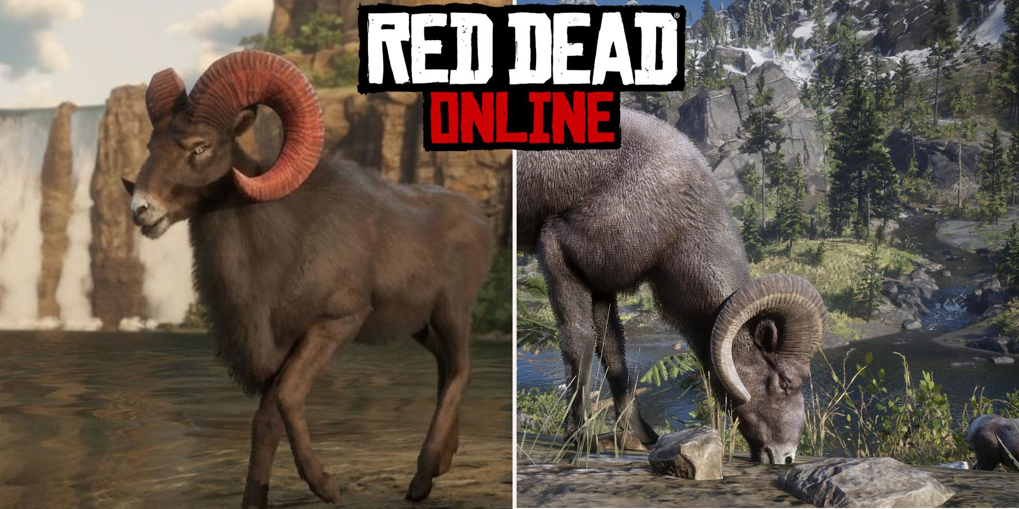 Bighorn Ram In Red Dead Redemption 2