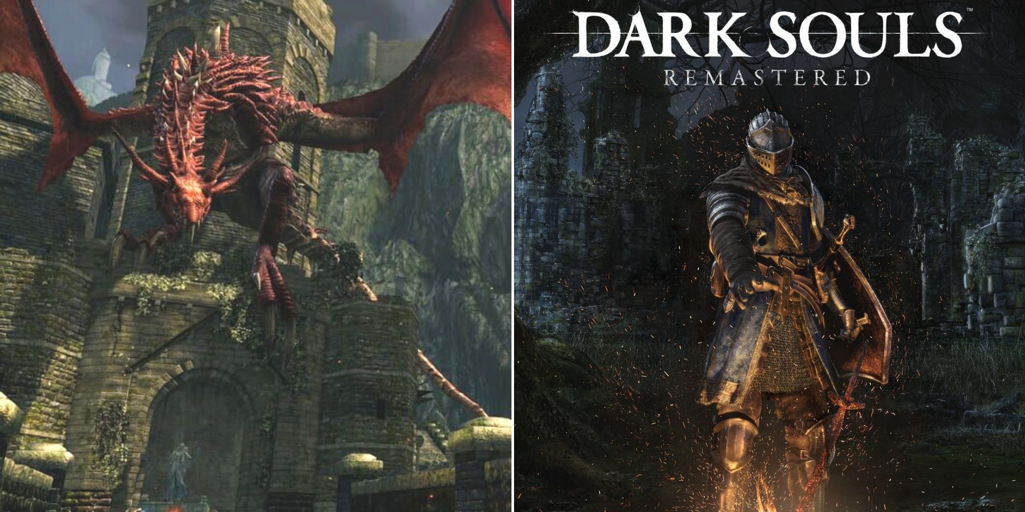 Dark Souls - A dragon on the bridge - The Dark Souls Cover Art Bonfire 