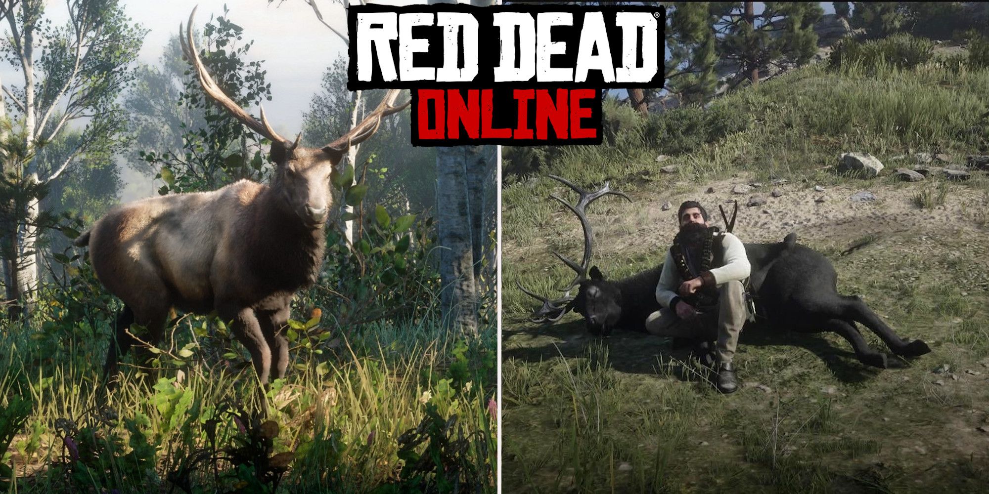Red Dead Online Best Elk Hunting Locations
