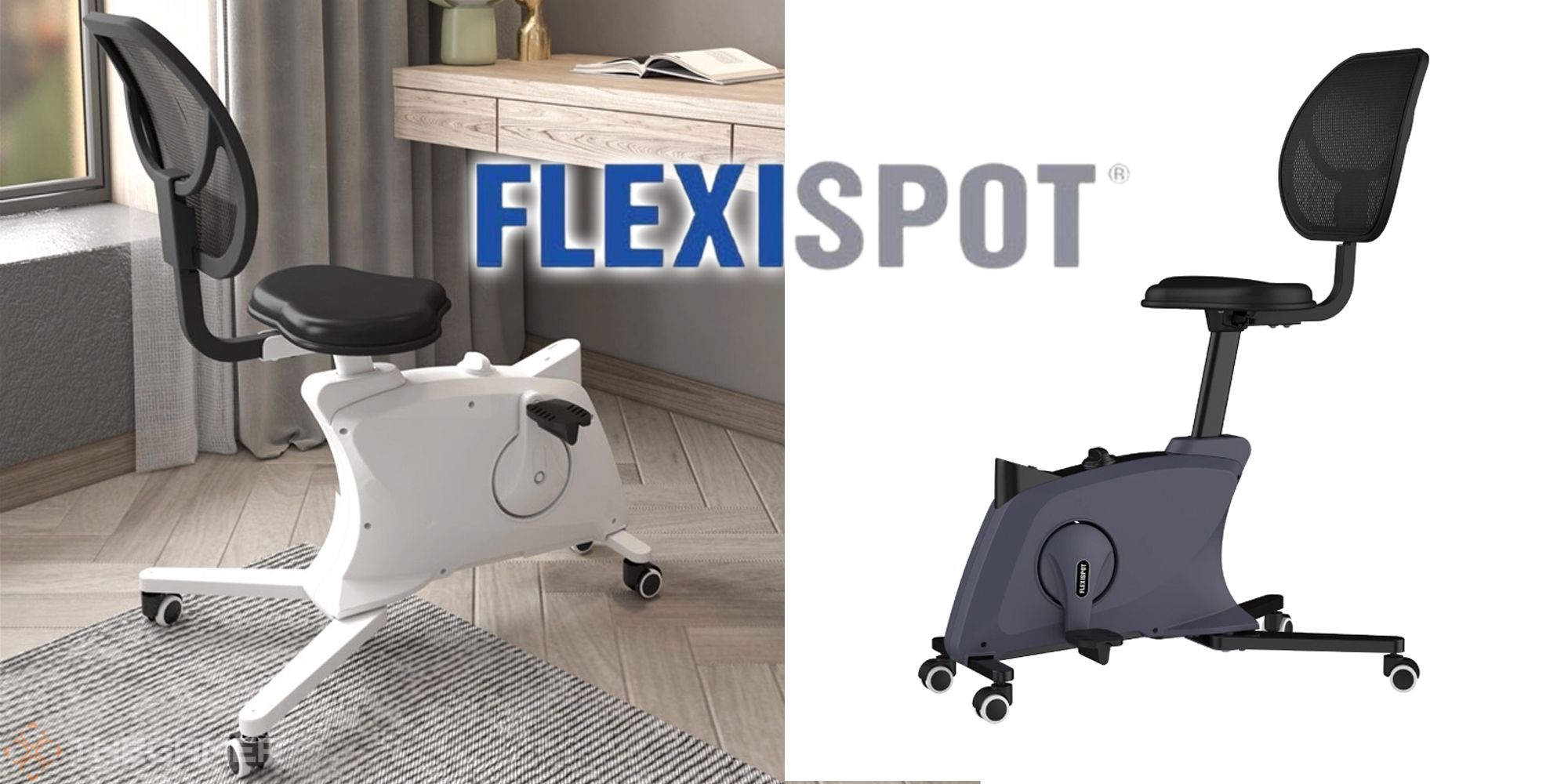 Flexispot Sit2Go