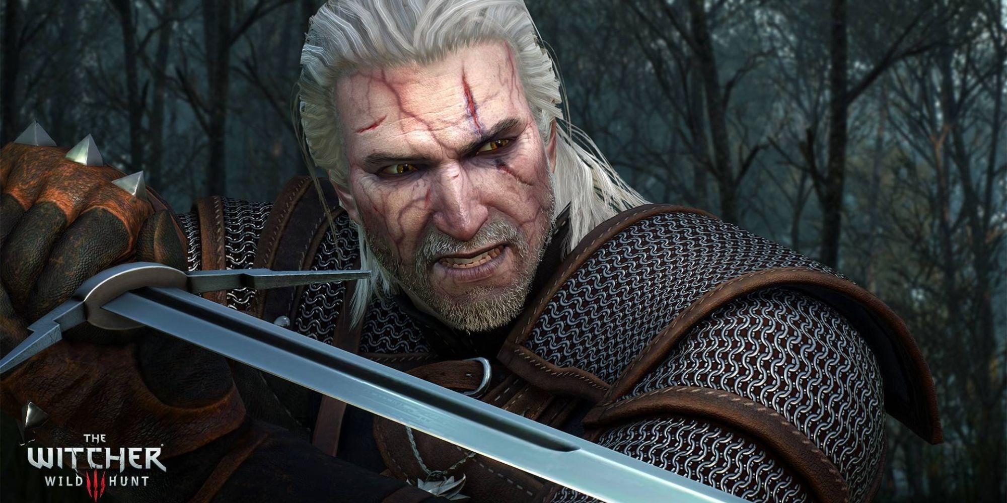 Geralt High Toxicity With Sword Ready
