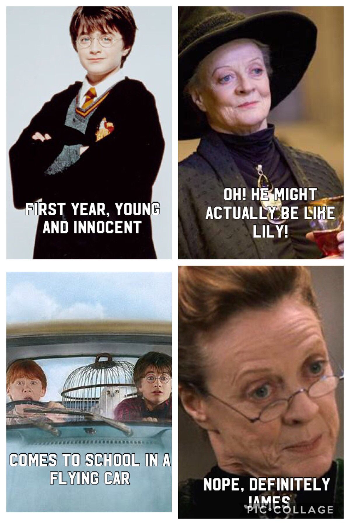 Harry-Potter-James-or-Lily-Profesor-McGonagall-evaluation