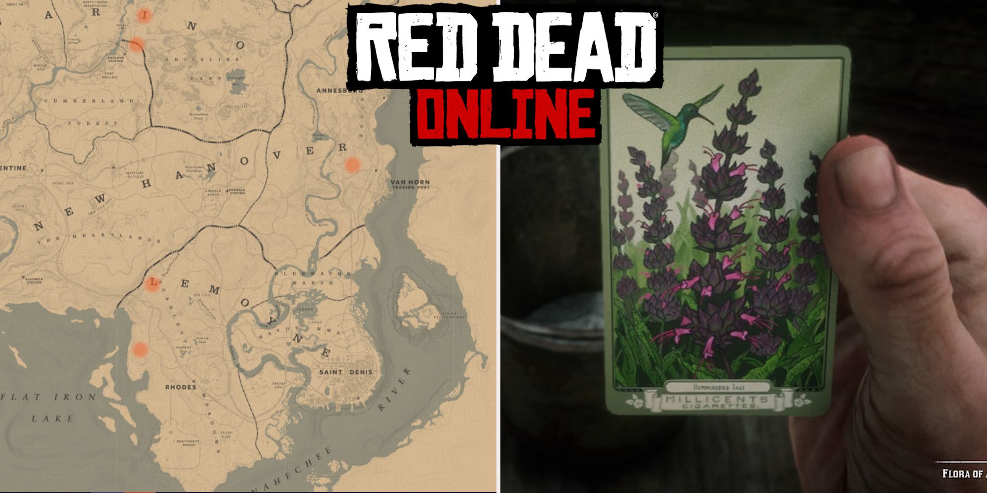 Hummingbird-Sage-locations-hunting-map-Red-Dead-Redemption-2-Online-ign-rdr2map