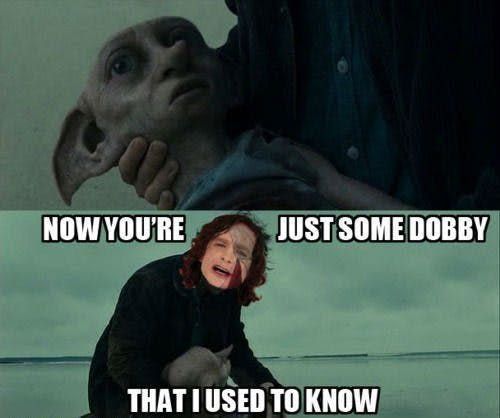 Just-some-Dobby-that-I-used-to-know-meme-Harry-Potter
