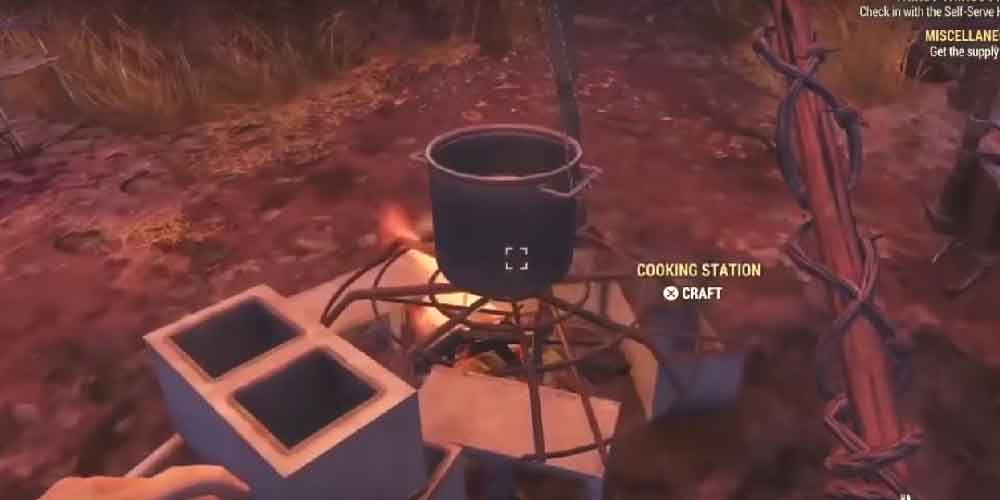 Lead Belly perk makes eating tainted wasteland food less risky in Fallout 76