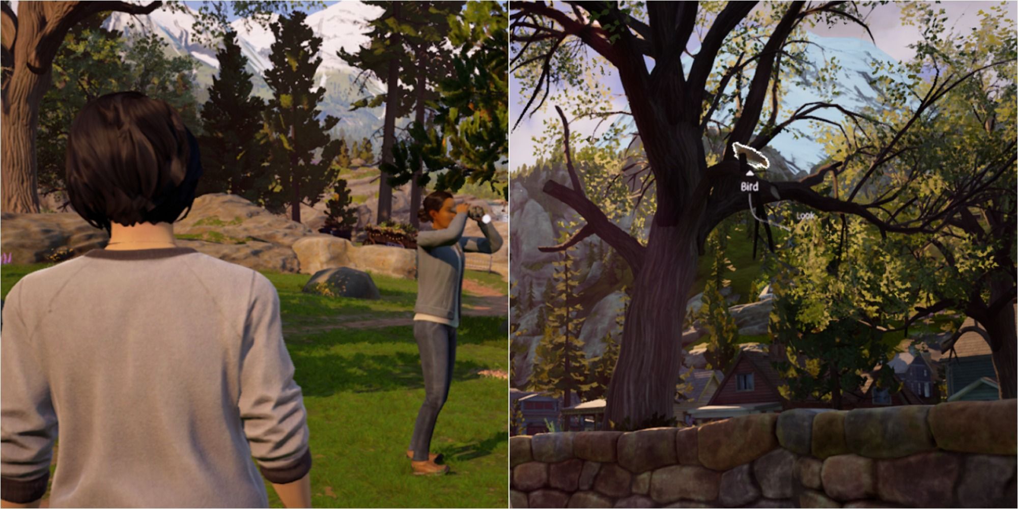 Life Is Strange: True Colors Birdwatcher trophy and achievement guide