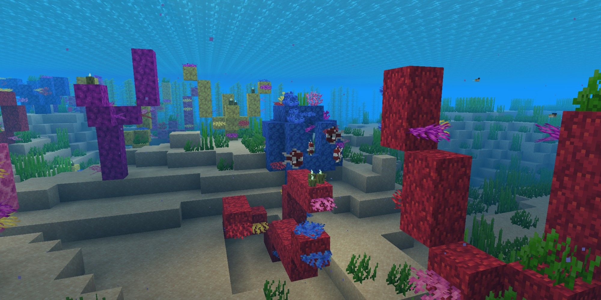 How To Find Coral Reef In Minecraft
