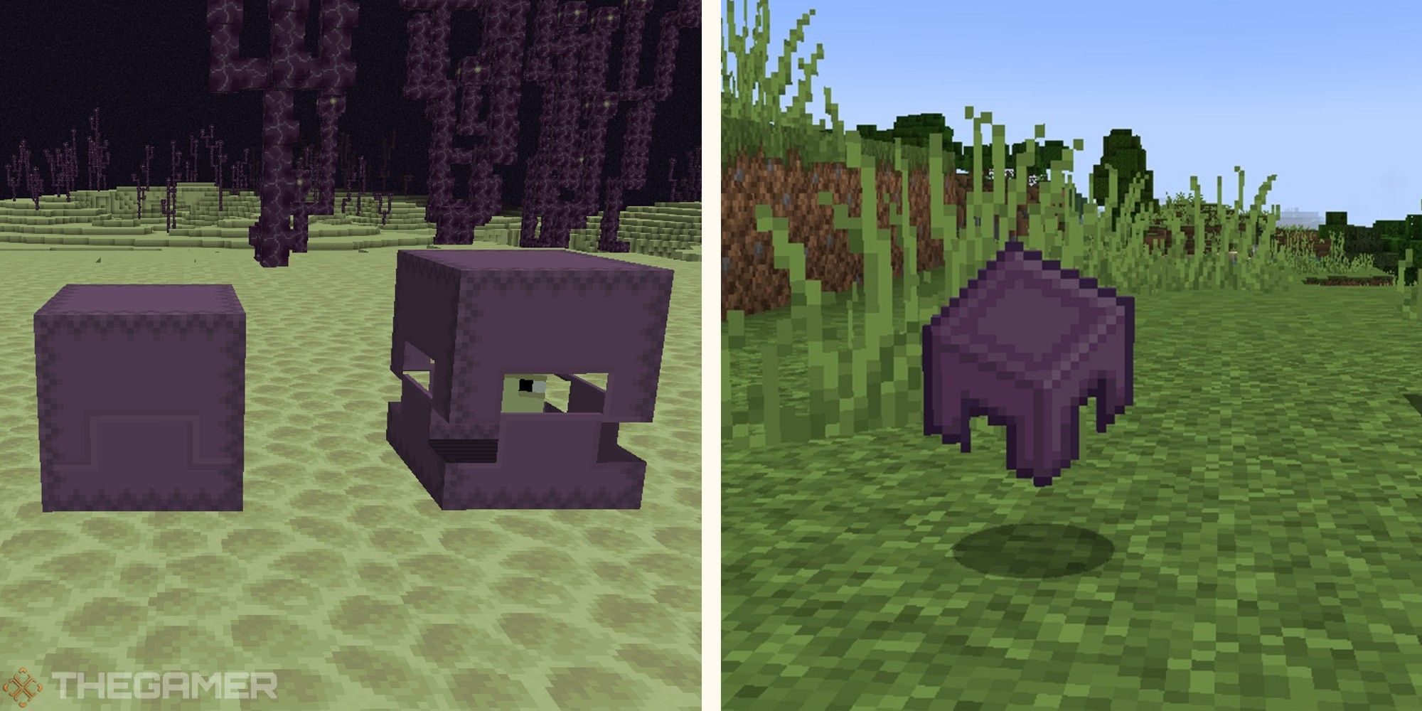 Minecraft Curse of Vanishing: How to remove it & use the shulker