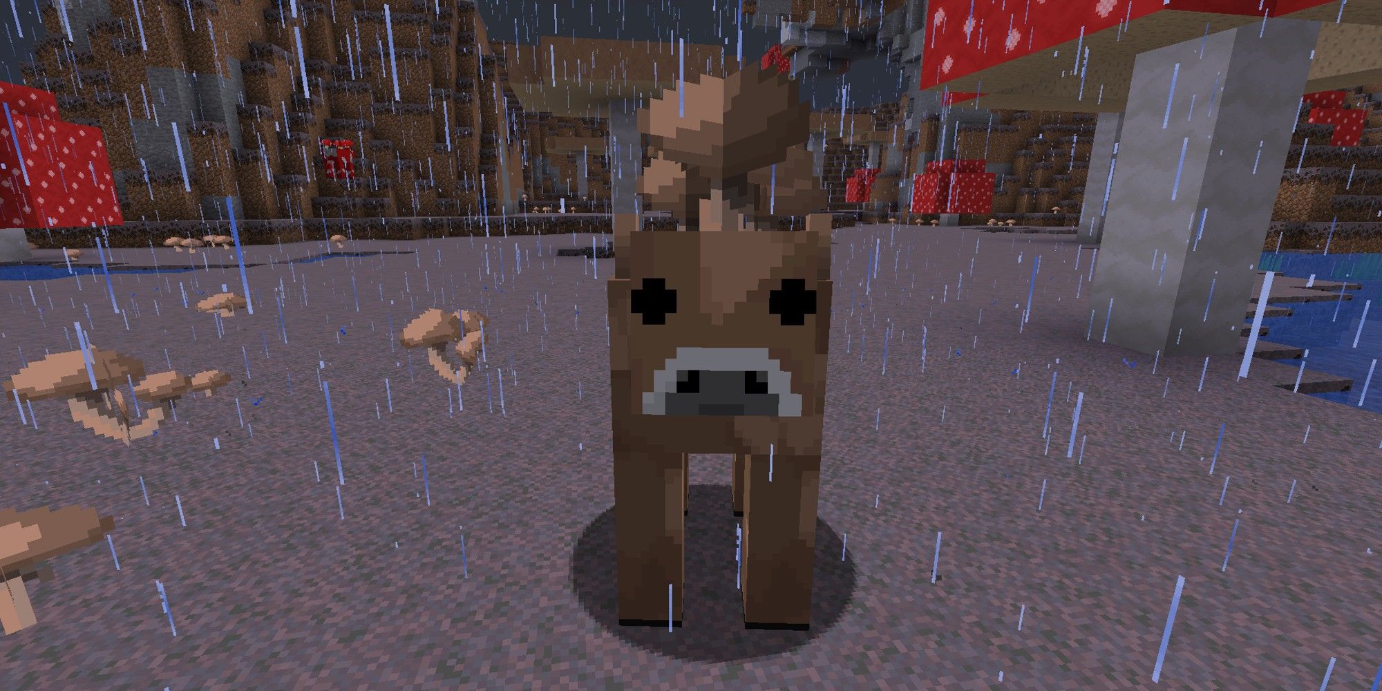 brown mooshroom looking at player in the rain