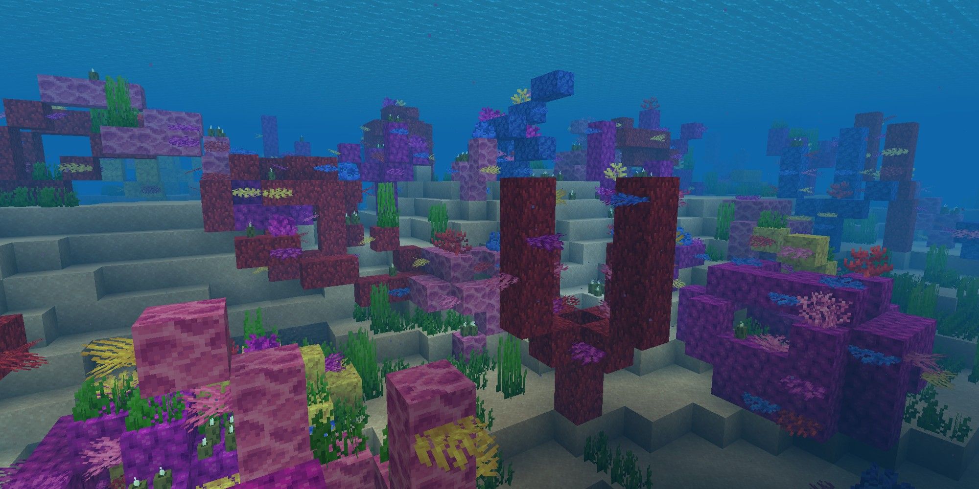 How To Find Coral Reefs In Minecraft