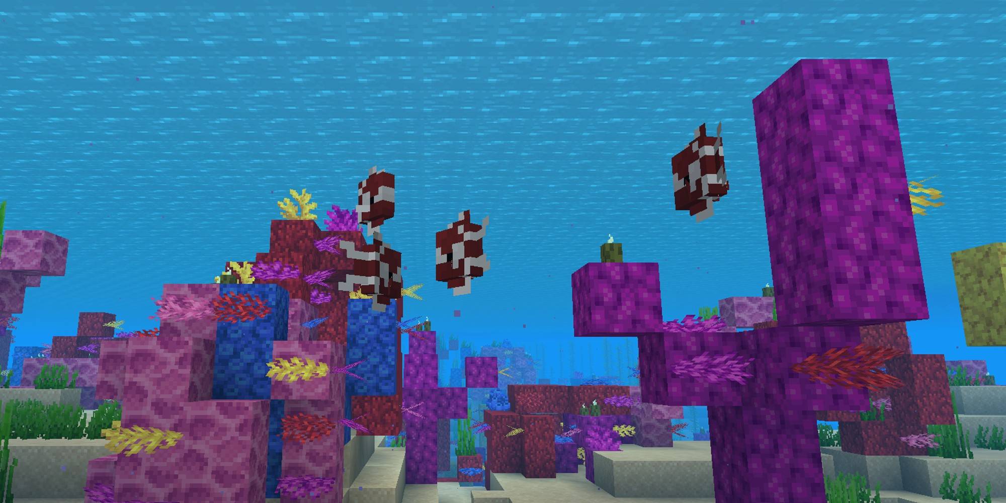 How To Find Coral Reefs In Minecraft