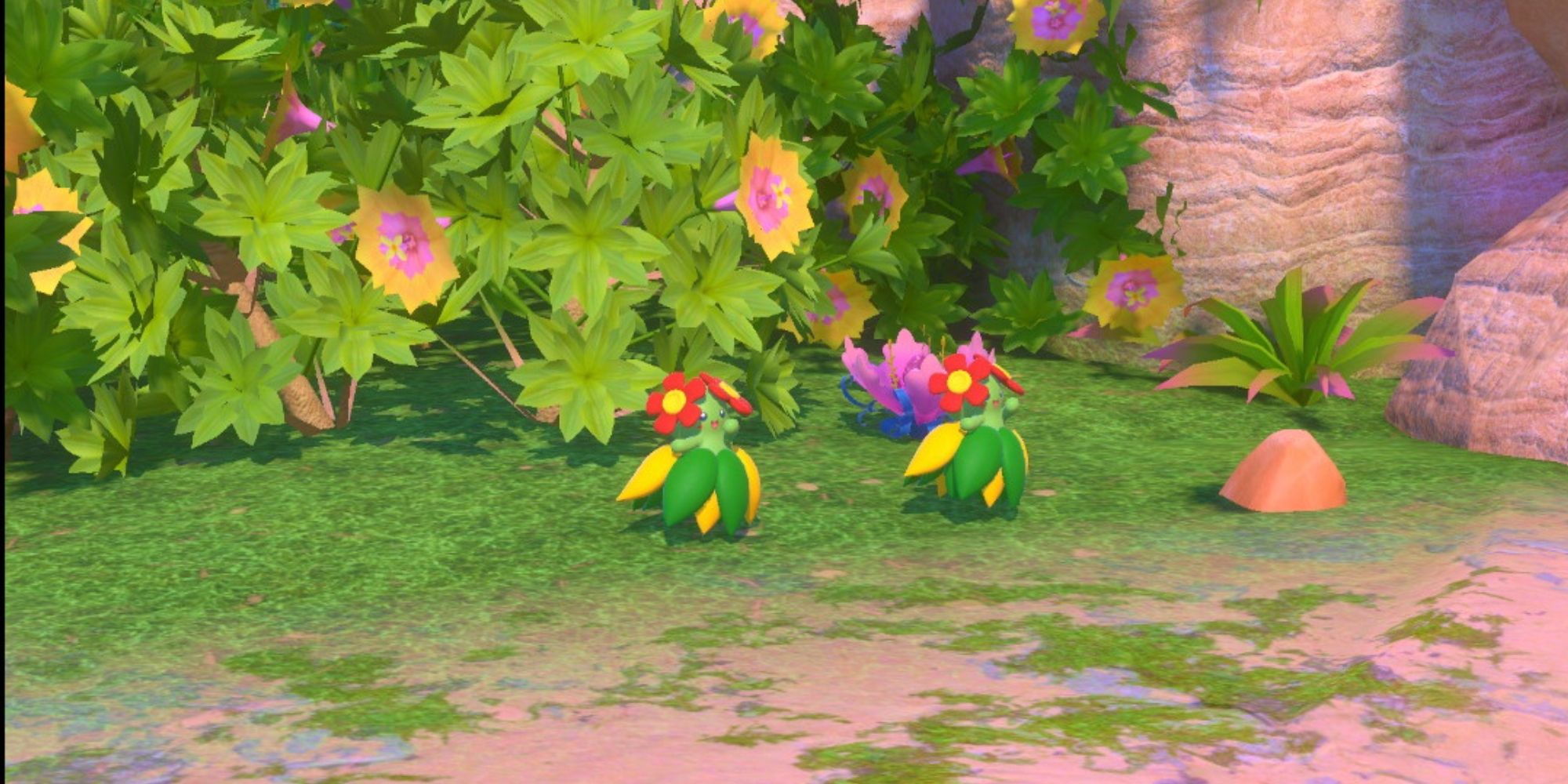 New Pokemon Snap Bellossom