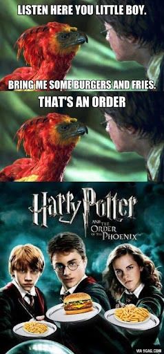 Order-of-the-Pheonix-literal-translation-Harry-Potter