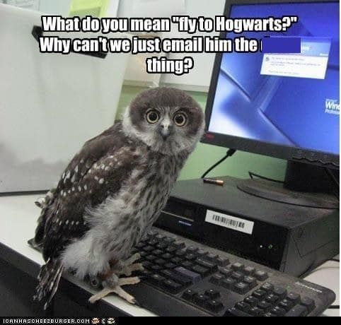 Owl-internet-meme-humor-Harry-Potter