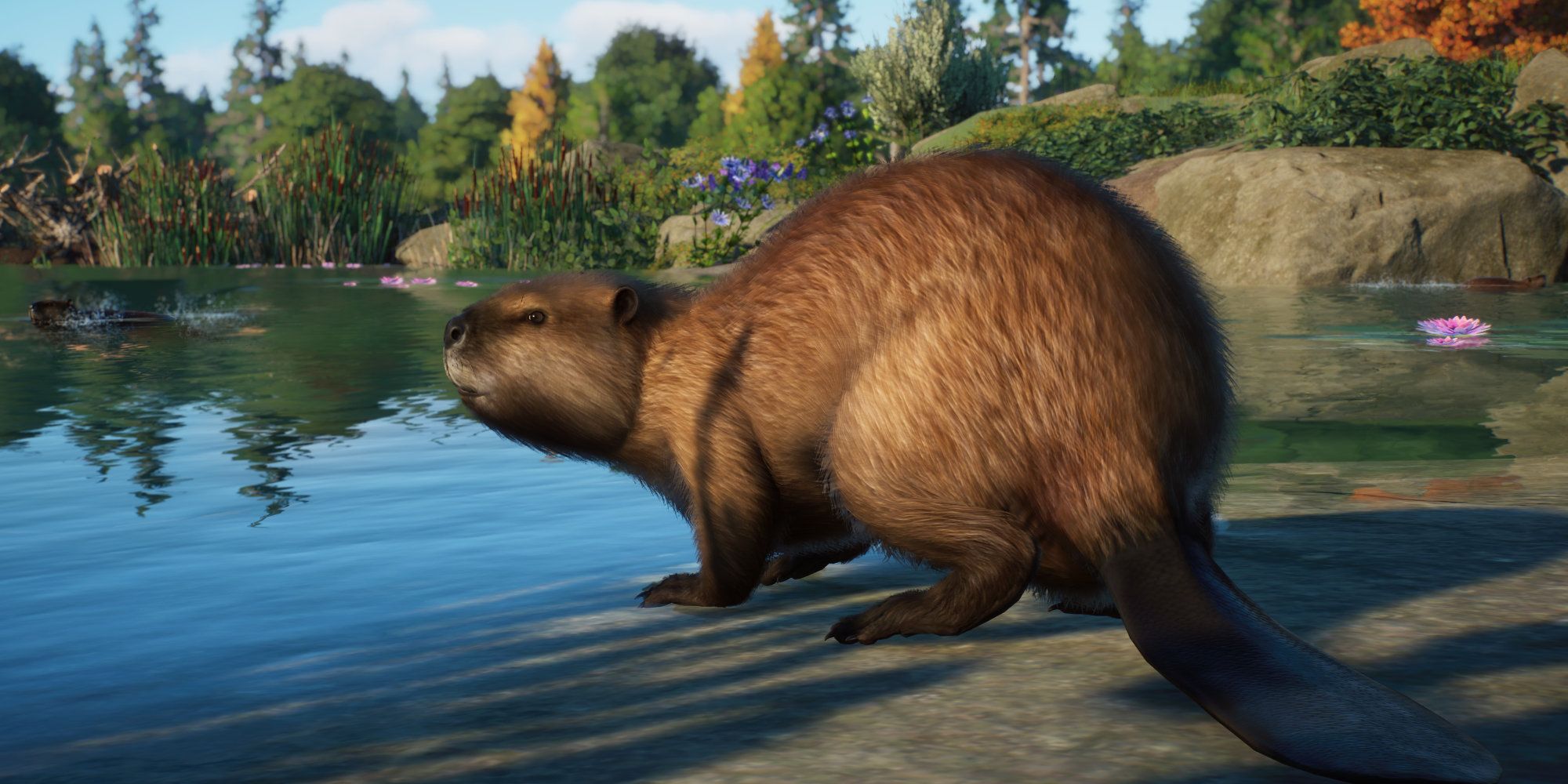 Planet Zoo NA Animals Beaver By water