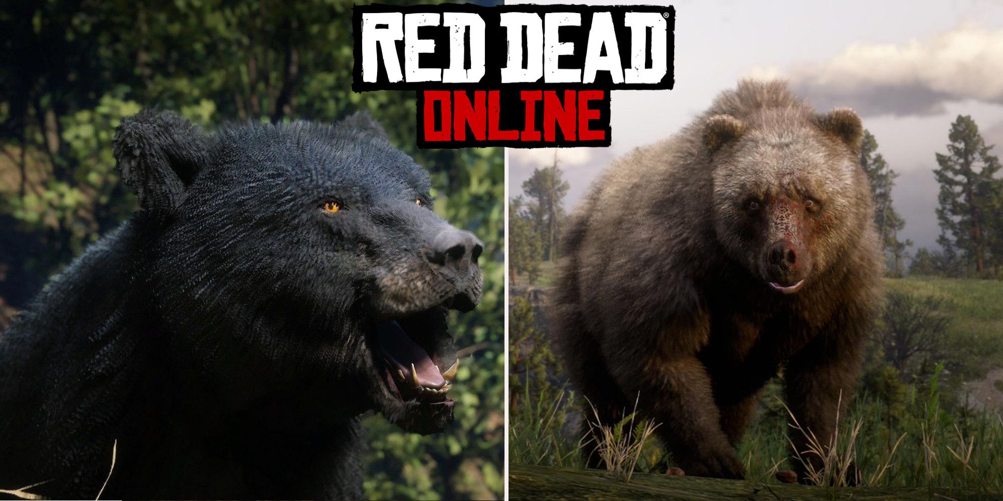 Red Dead Online Best Bear Hunting Locations