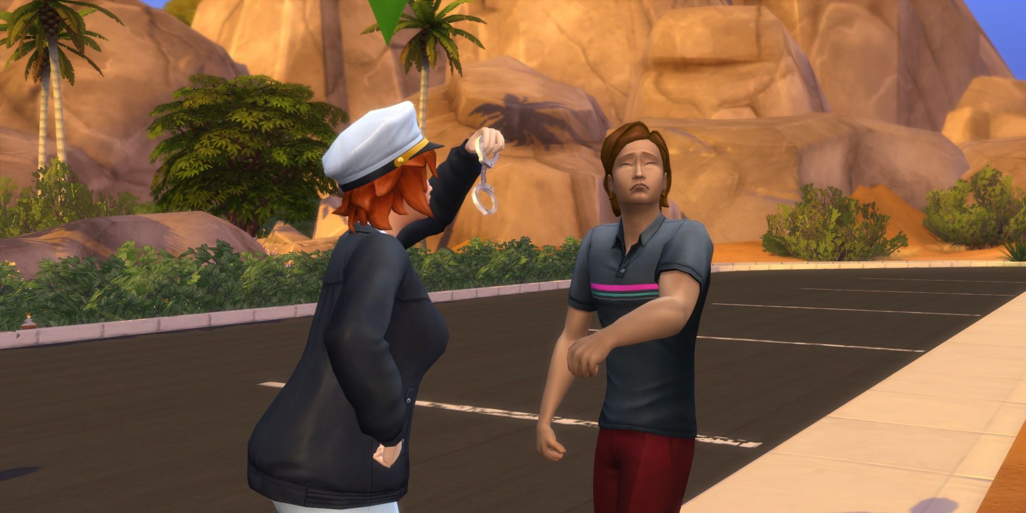 Sims 4 Detective Arrest