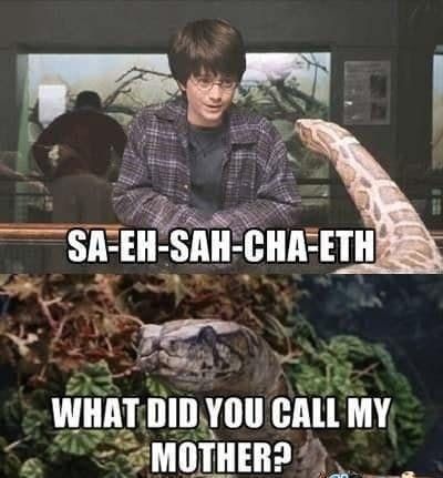 Snake-parseltongue-Harry-Potter-meme