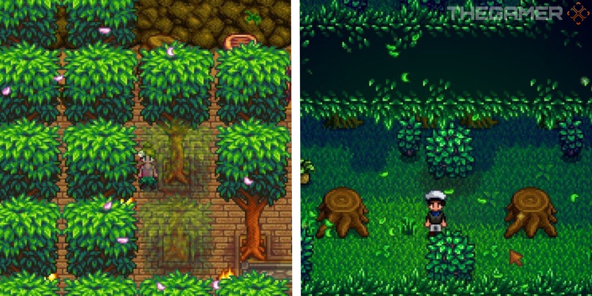 Stardew Valley Featured Image For Hardwood Farming 