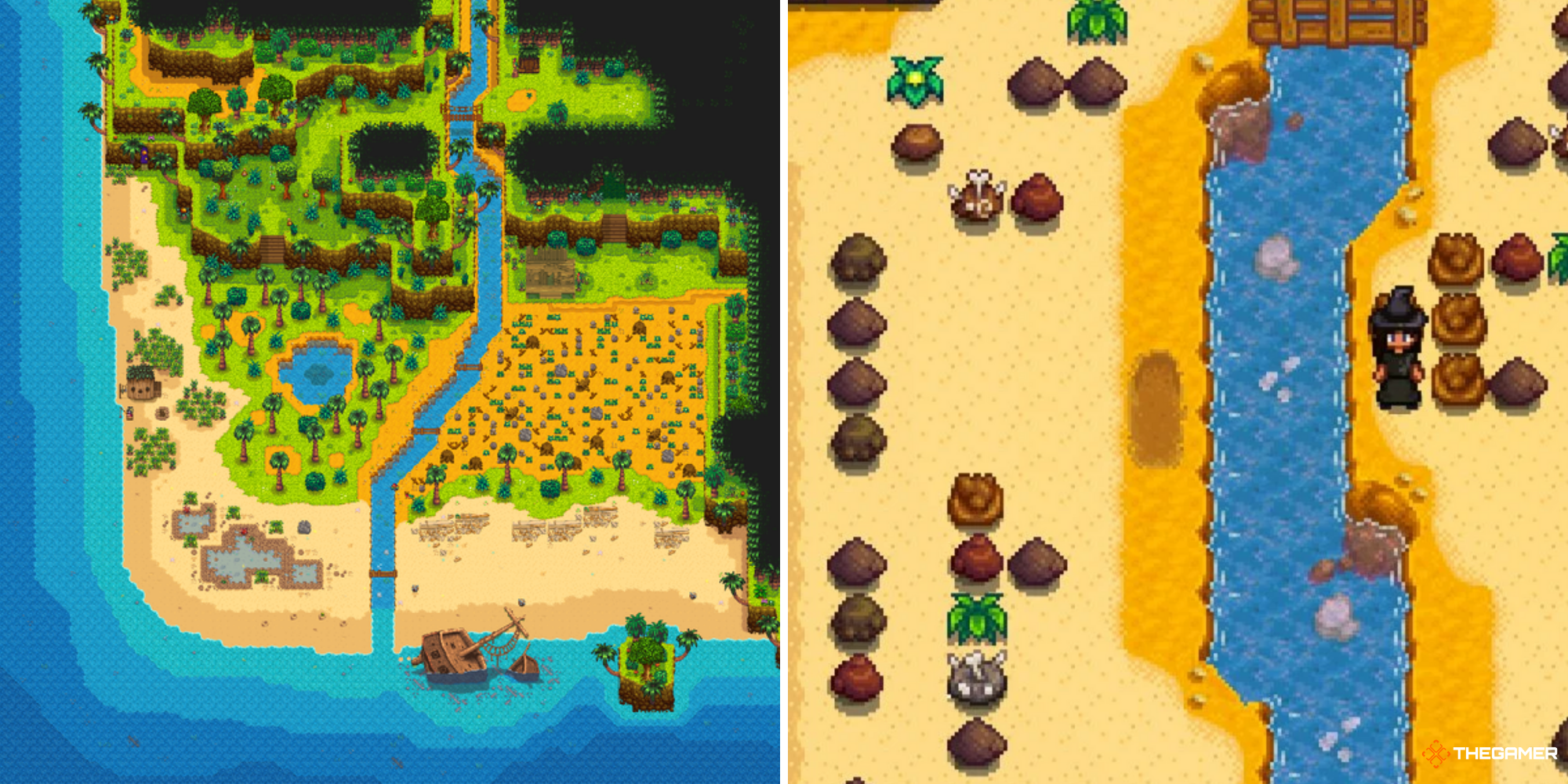 Stardew Valley Ginger Island - Island west on left, player at the dig site on right