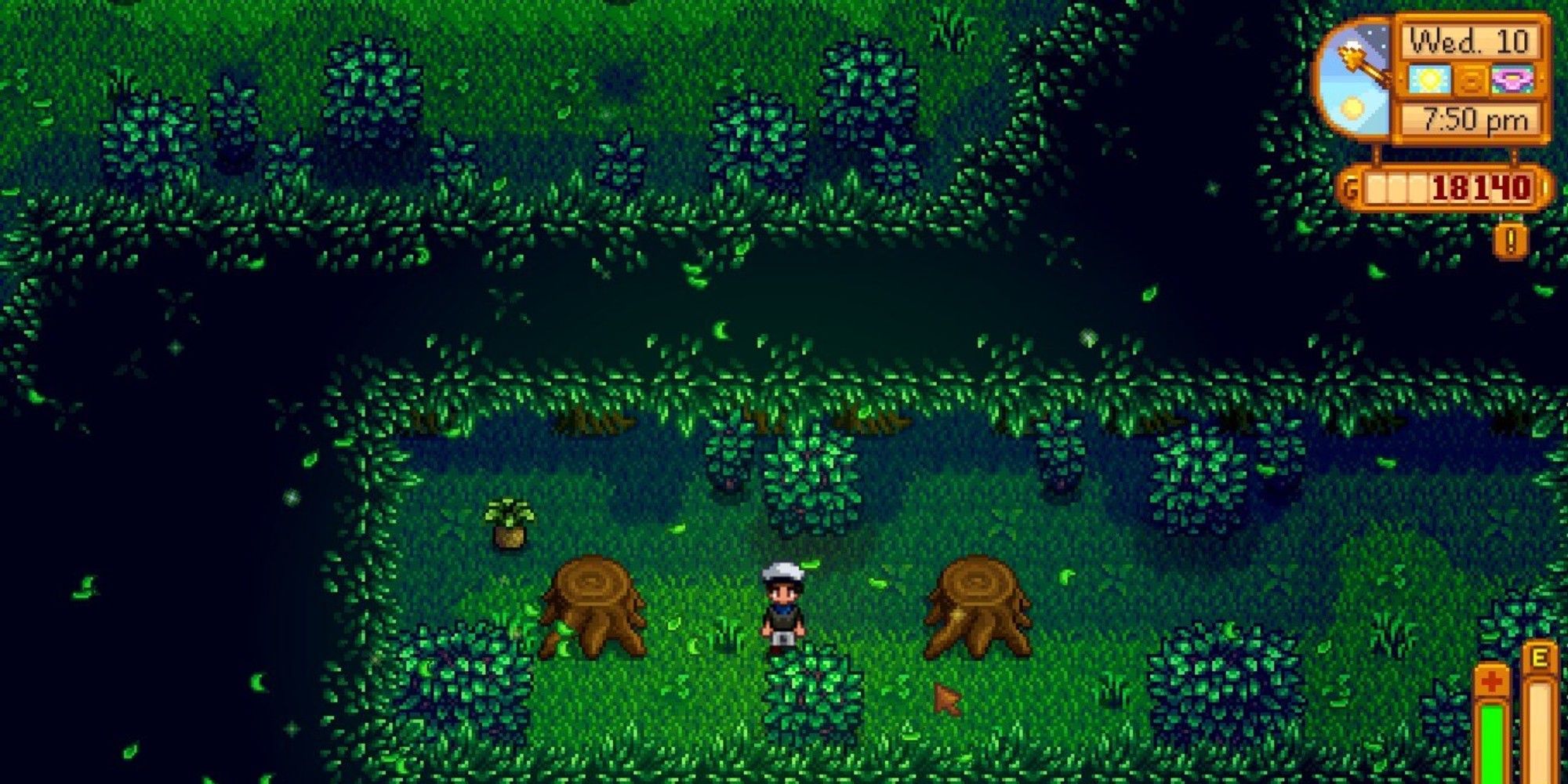 player standing in secret woods near tree stumps