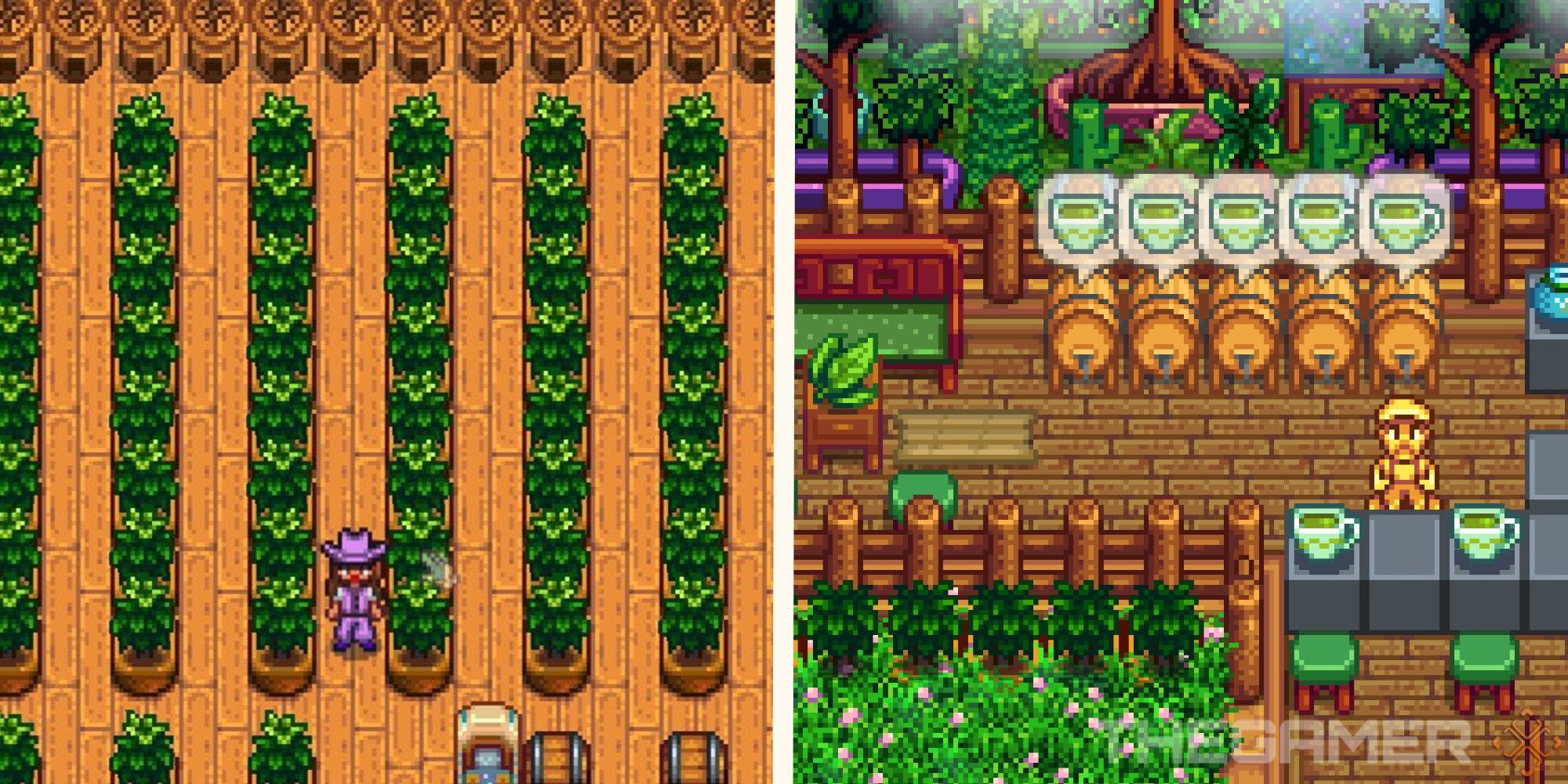 Building a tea empire - Stardew Valley Year 1 