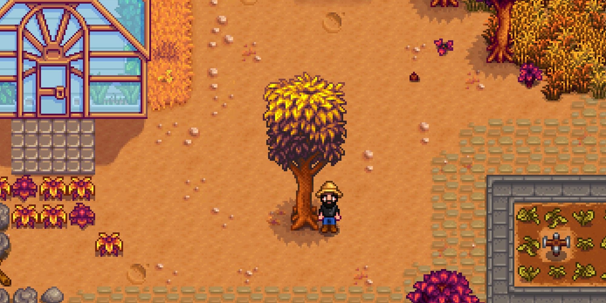 A player standing next to a mahogany tree