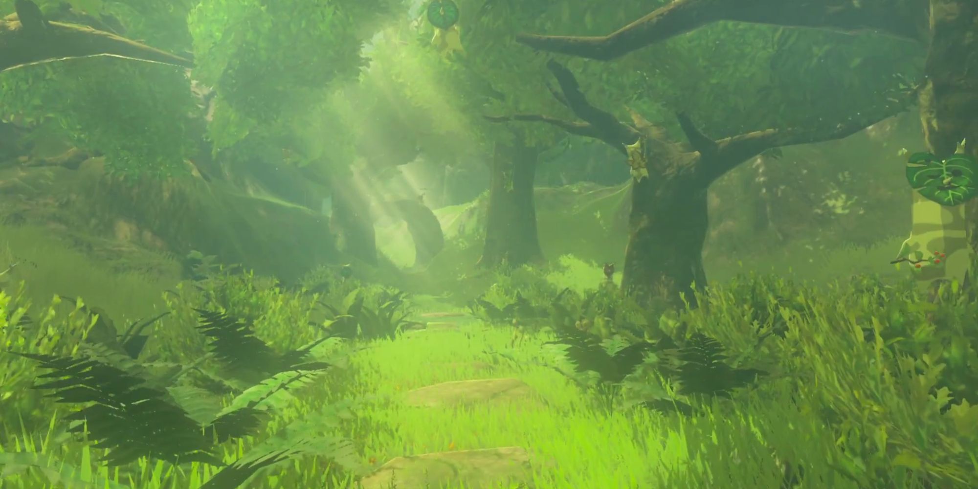 The Legend Of Zelda Locations wide shot of dense lush Korok Forest filled with trees, grass and floating Koroks