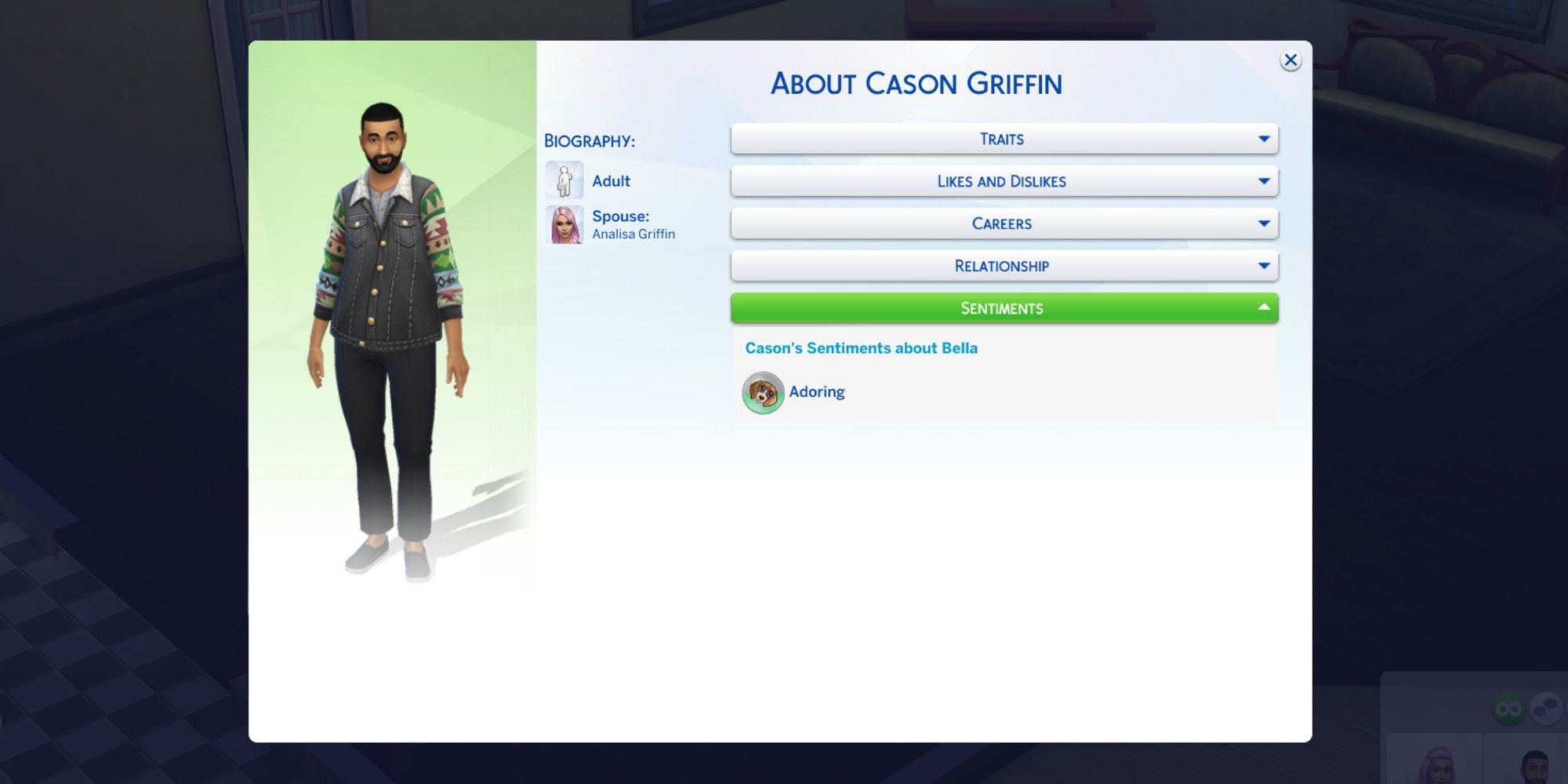profile opened for adult sim