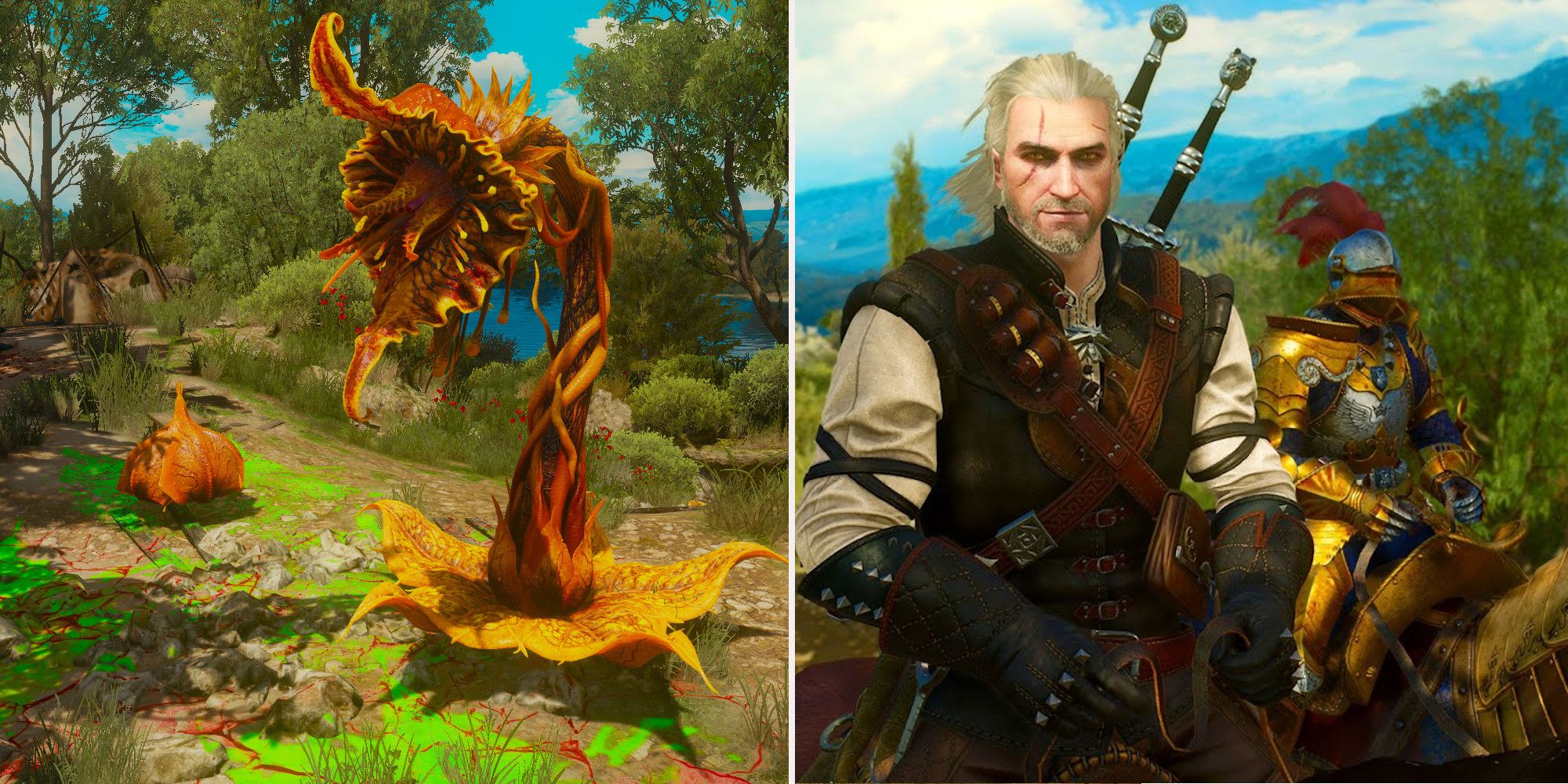 Blood and wine для the witcher 3 фото 109