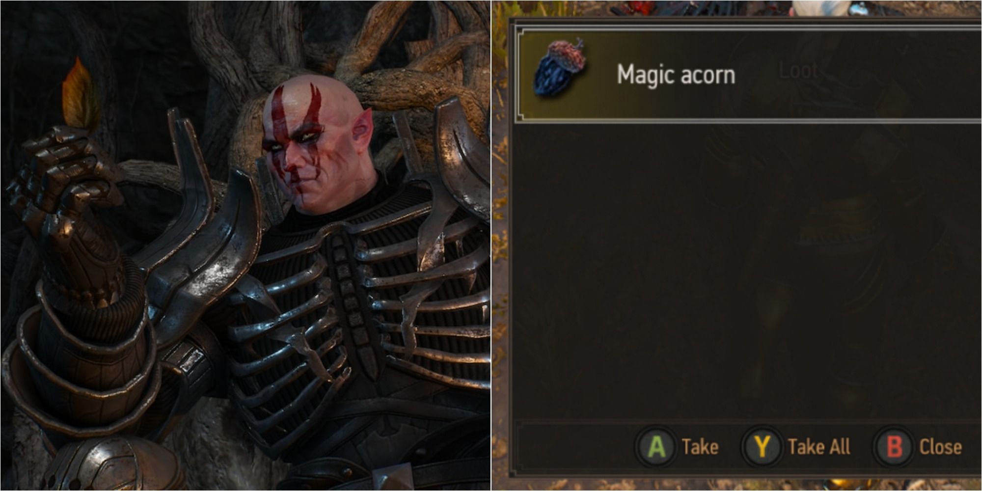 Witcher 3 Magic Acorn Guide Featured Split Image