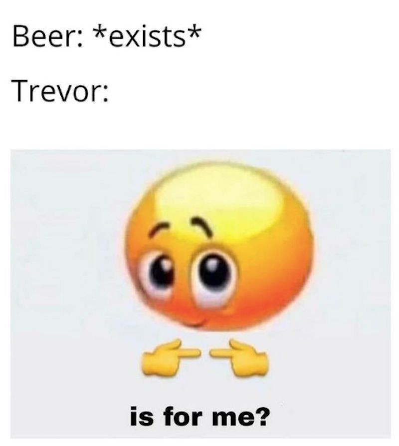 Castlevania Memes That Trevor Belmont Would Love