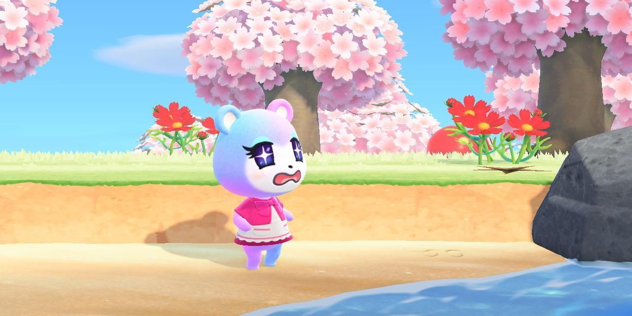 A distressed looking Judy stands on the beach on someone's Animal Crossing island