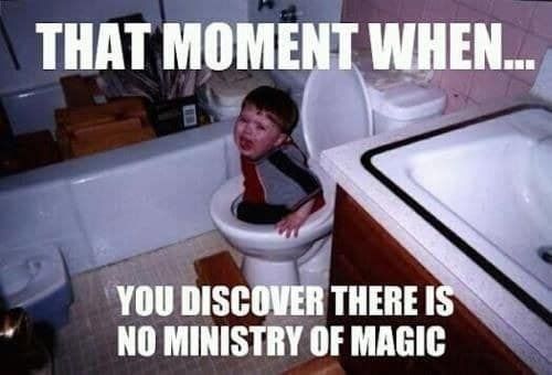 kid-in-toilet-ministry-of-magic-joke-Harry-Potter