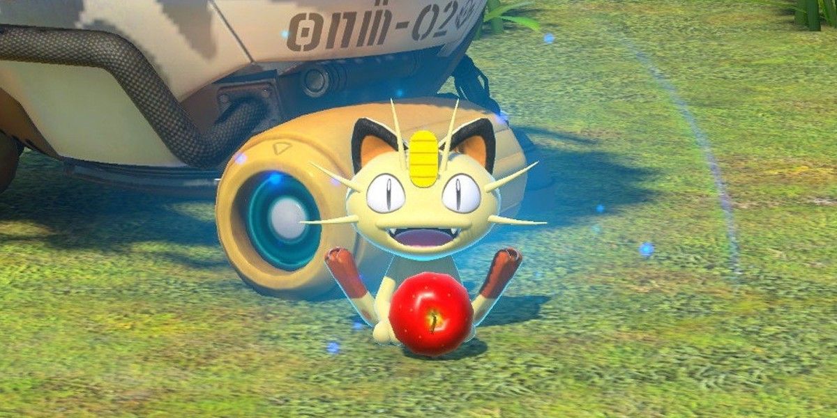 Meowth sitting with fruit.