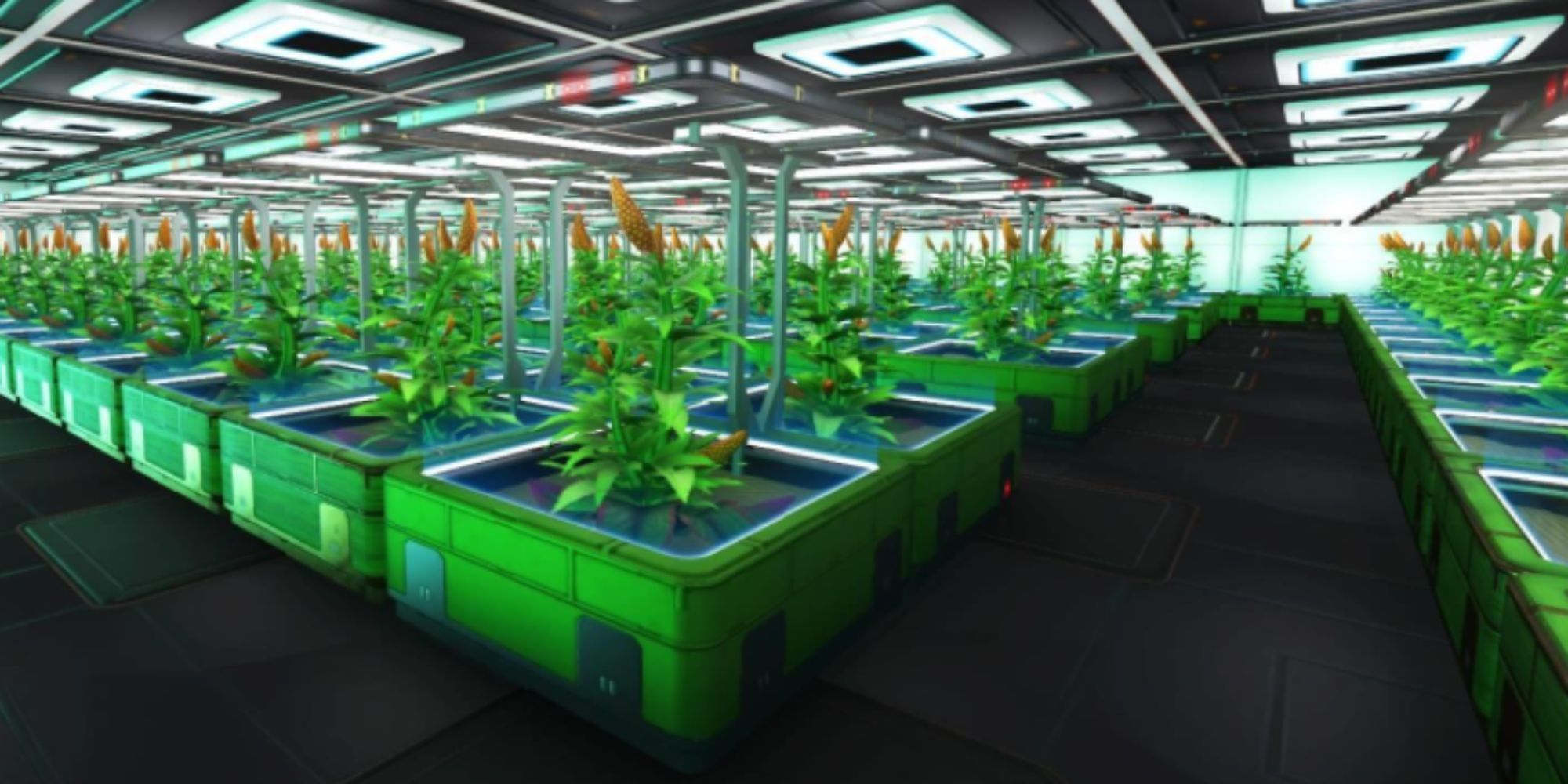 no_man's_sky_farm_with_many_plants