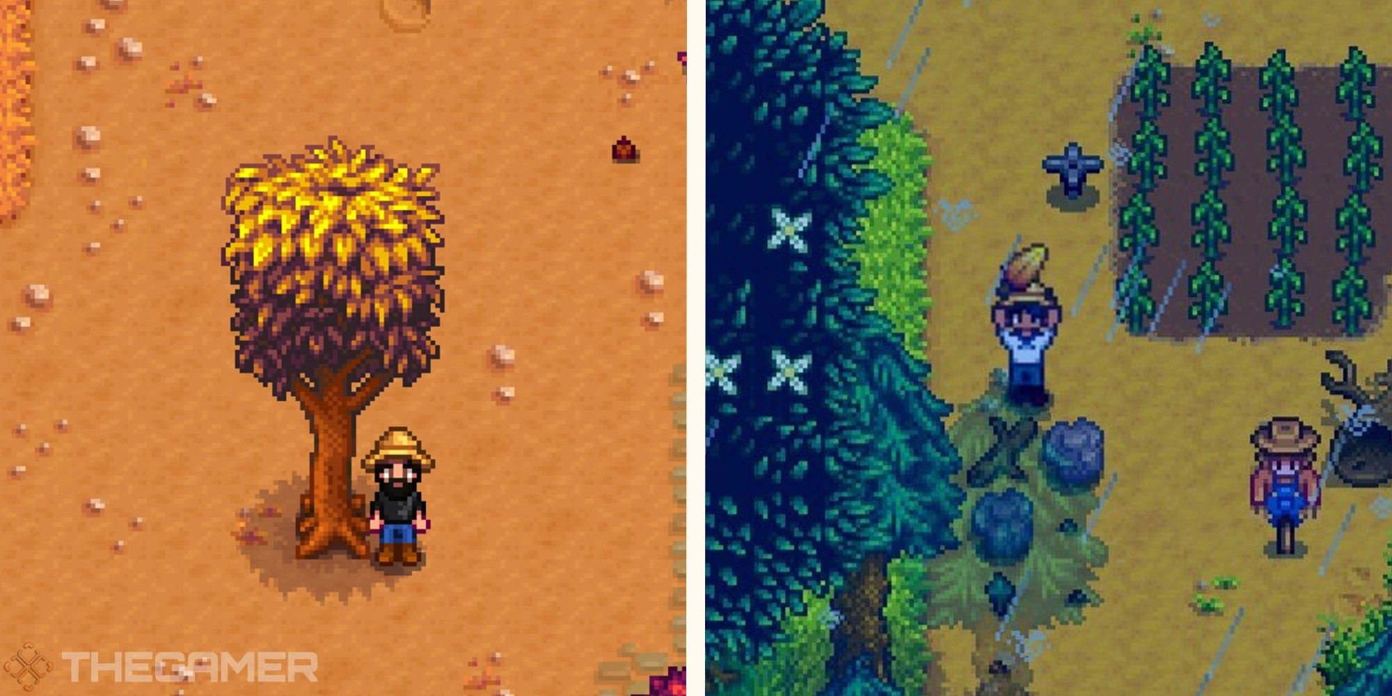 image of player with mahogany tree, next to image of player holding mahogany seed