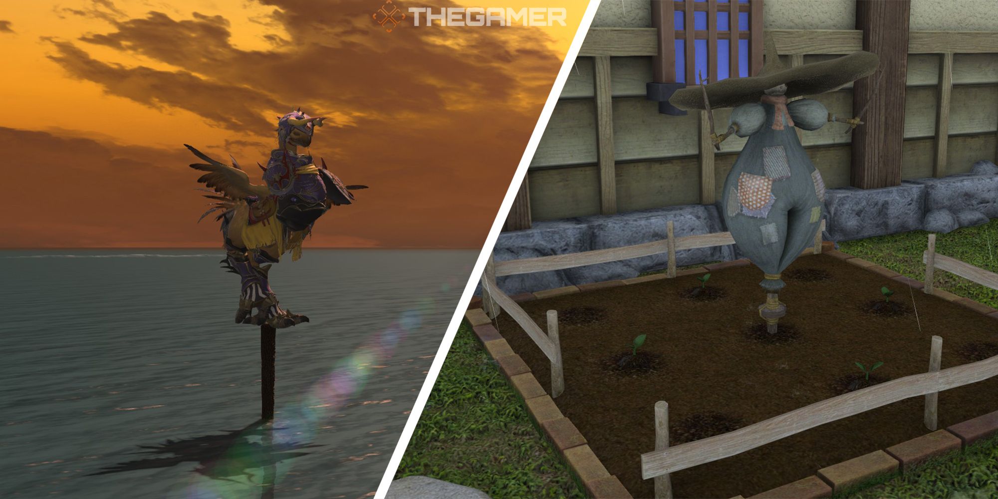 chocobo companion training and housing garden split image