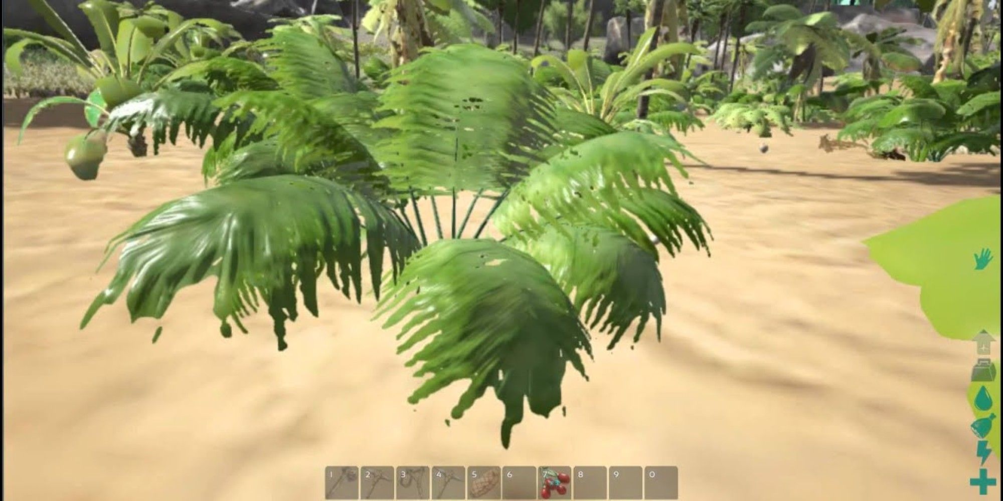 player looking at a bush for fiber