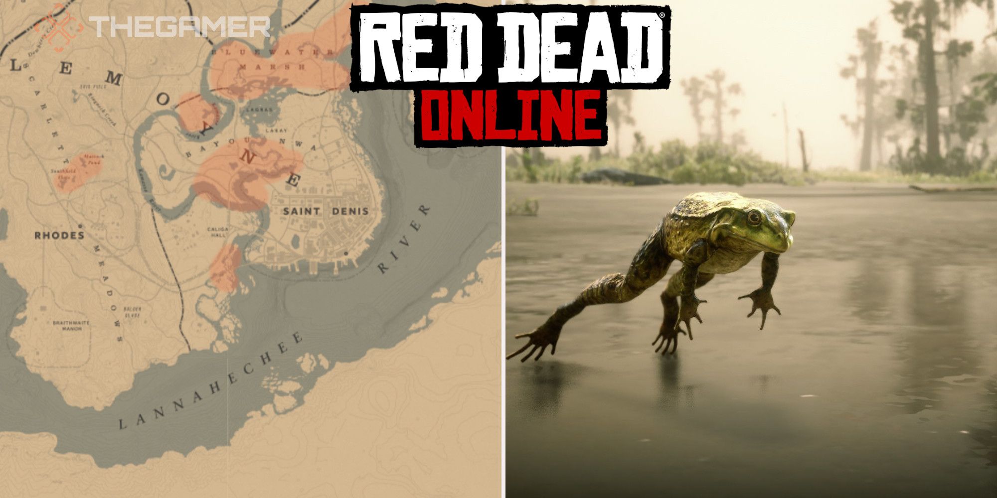Red Dead Online Best American Bullfrog Locations