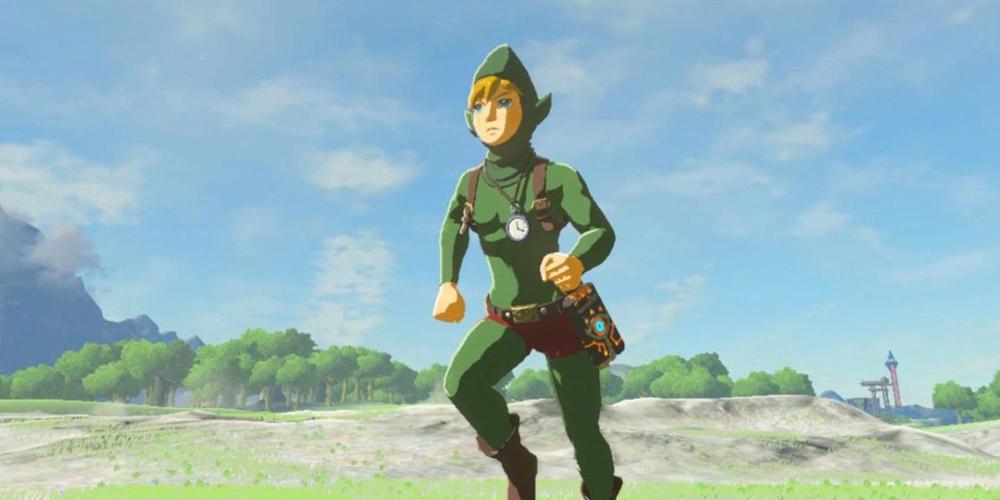 link wearing tingles outfit