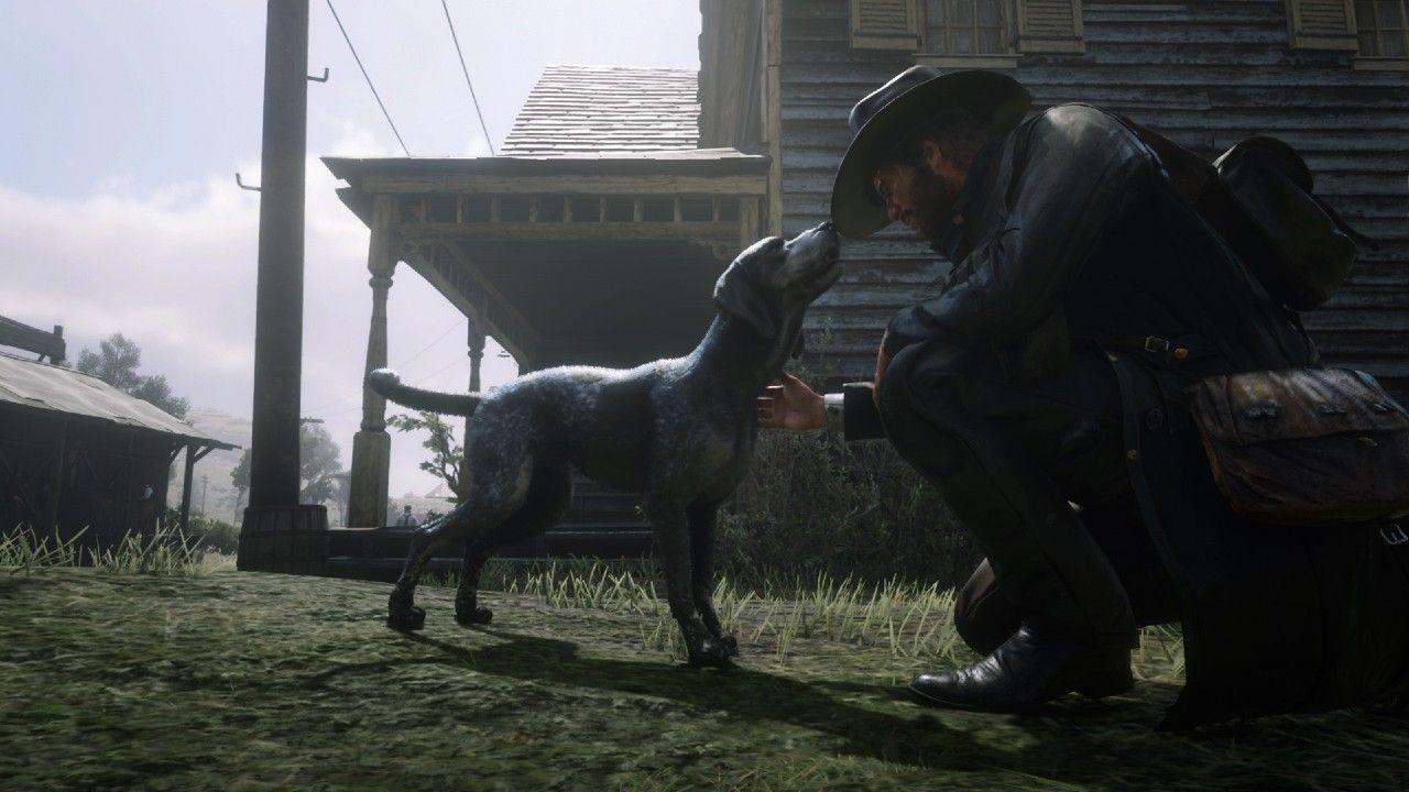 Bluetick Coonhound sniff farmstead Red Dead Redemption 2 Online locations