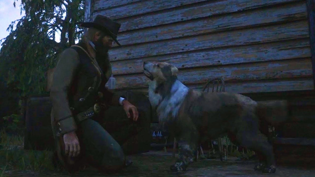 Border Collie dog locations Red Dead Redemption 2 Online YouTube