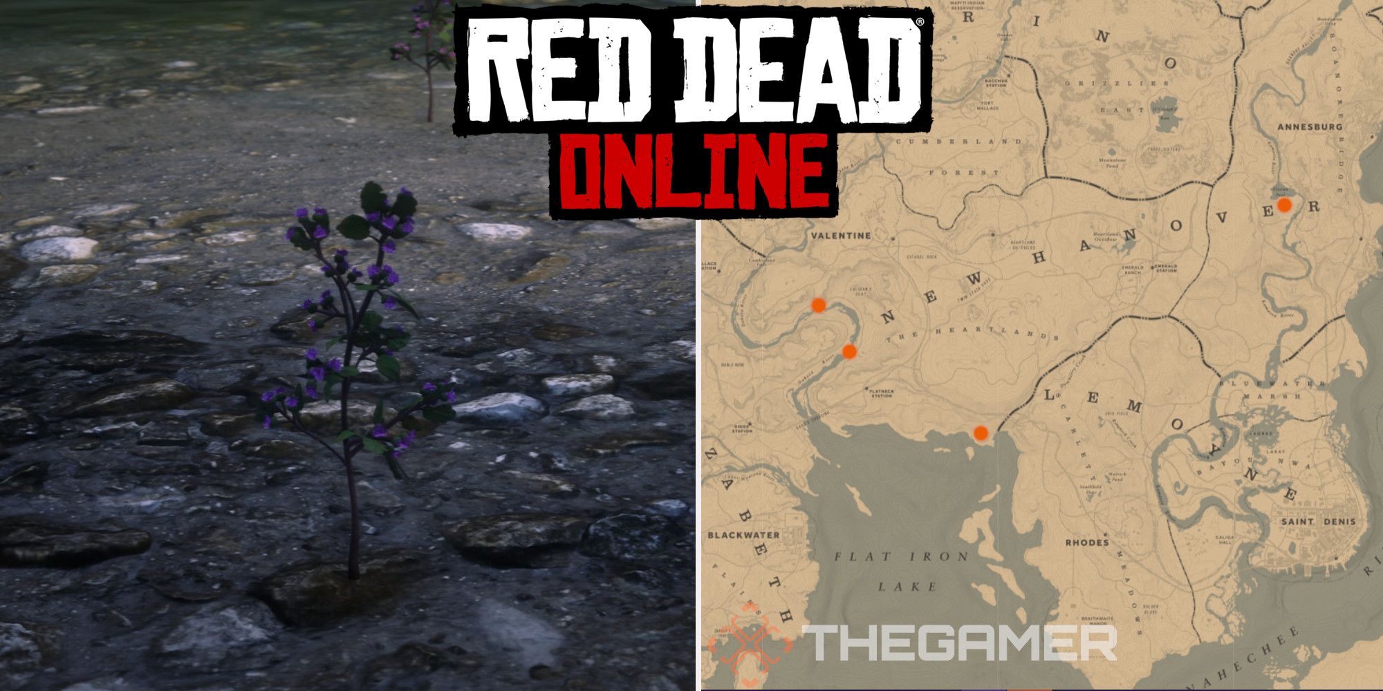 Stue måtte Bore Red Dead Online: Best Burdock Root Locations