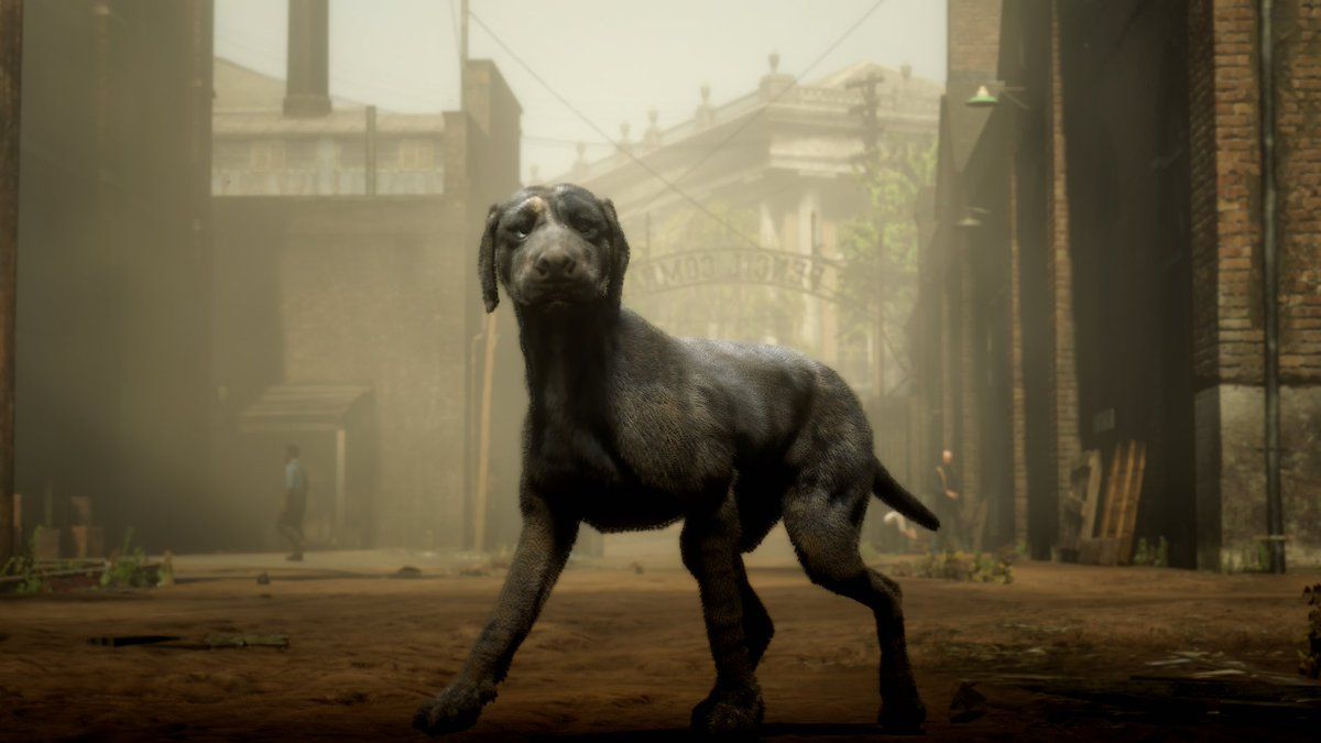 Catahoula Cur dog locations in Red Dead Redemption 2 Online SLATZ_7 on Twitter