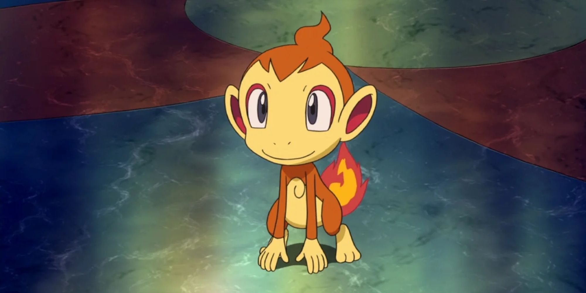 An Innocent Chimchar Looking Up