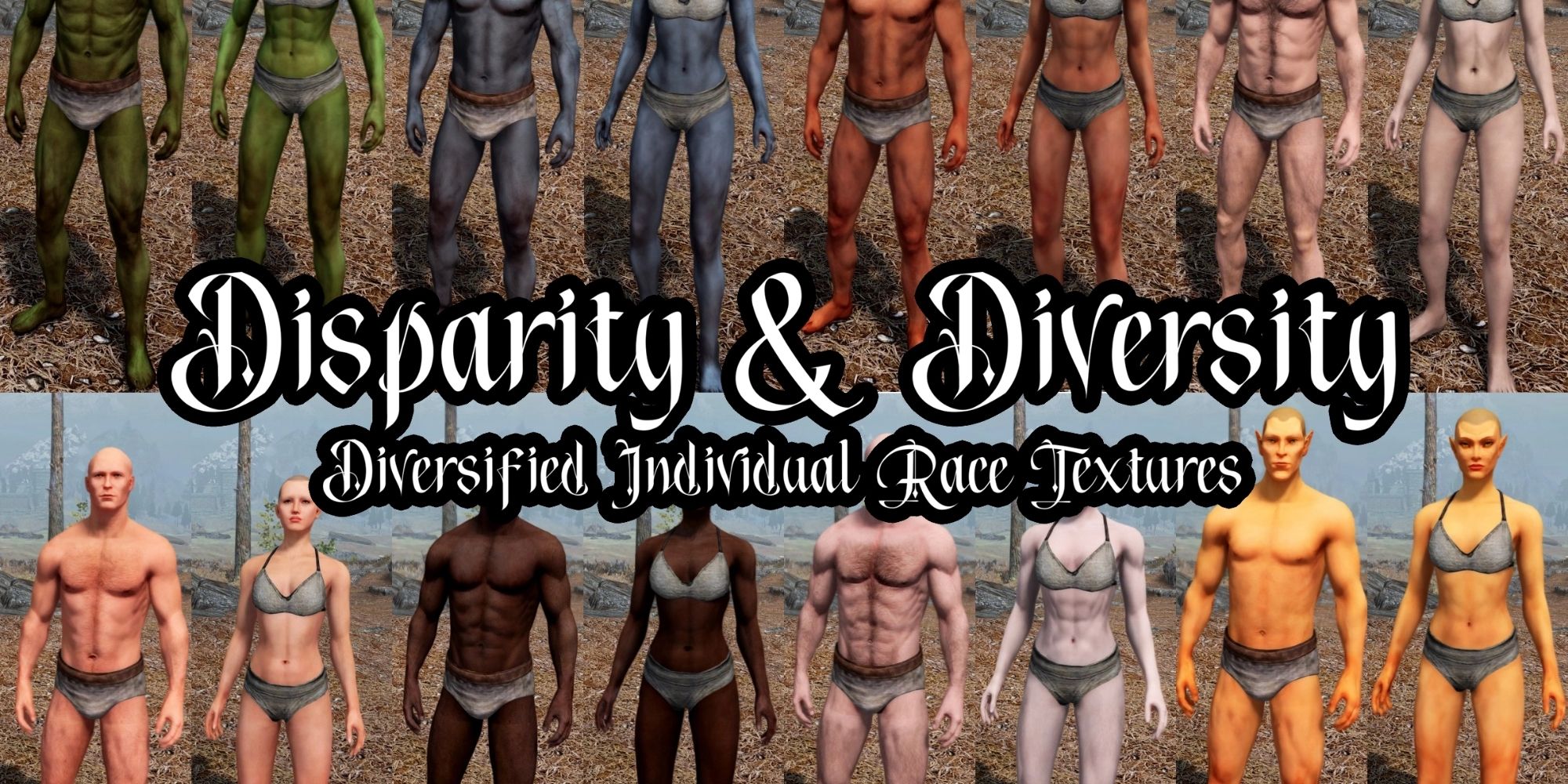 Promotional image for the Disparity & Diversity mod for Skyrim