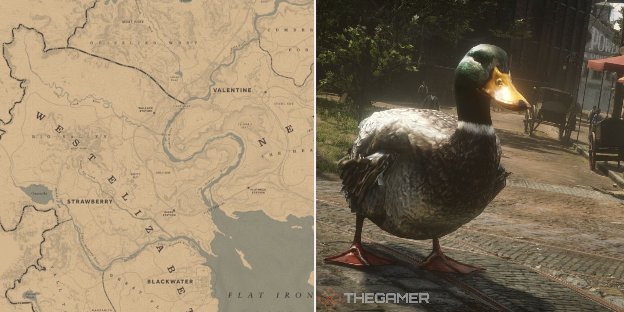 Duck locations Red Dead Redemption 2 Online feature guide mallard reddit